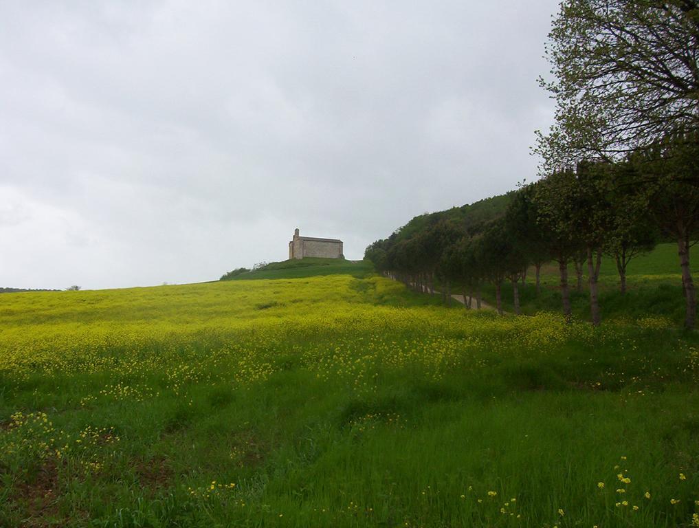 Agriturismo La Pieve Colle Val D'Elsa Exterior foto