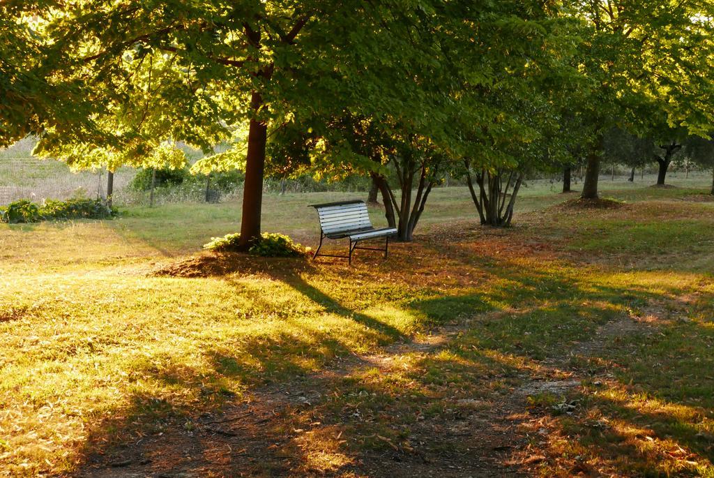 Agriturismo La Pieve Colle Val D'Elsa Exterior foto